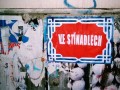 Ve�er sv�tel 2005