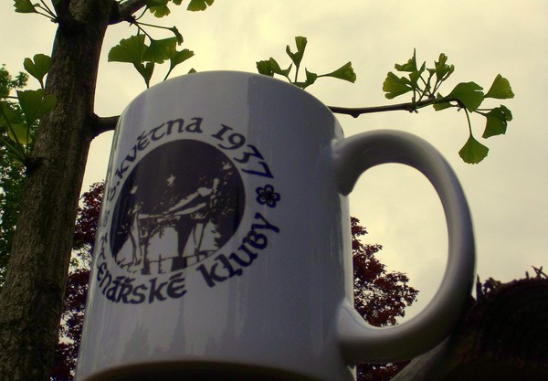 �ten��sk� kluby - hrnek, ginkgo