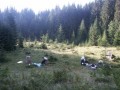 T�bo�i�t� u Sinov�ru - rann� �klid