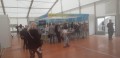 St�nek Ukrajiny na veletrhu Sv�t knihy 2022