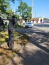 Poesiomat na Vinohradsk�m h�bitov� (foto: 26. srpna 2022, Kr