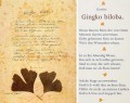 Gingo - Goethe